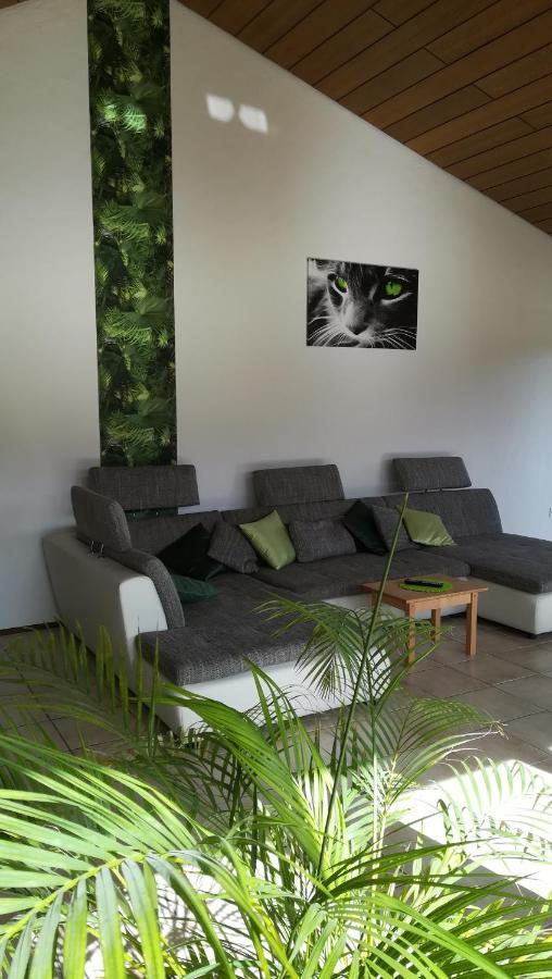 Ferienwohnung Froehlich Dorfprozelten Zewnętrze zdjęcie